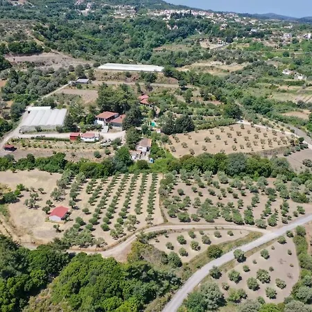 4 Bd Luxurious With Swimming Pool Dom wakacyjny